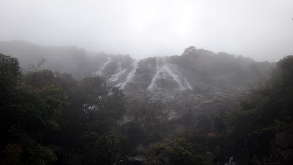 20190618153928_1250.jpg 20190618153928_1250.jpg